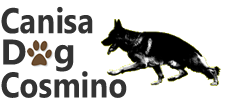 Canisa Dog Cosmino